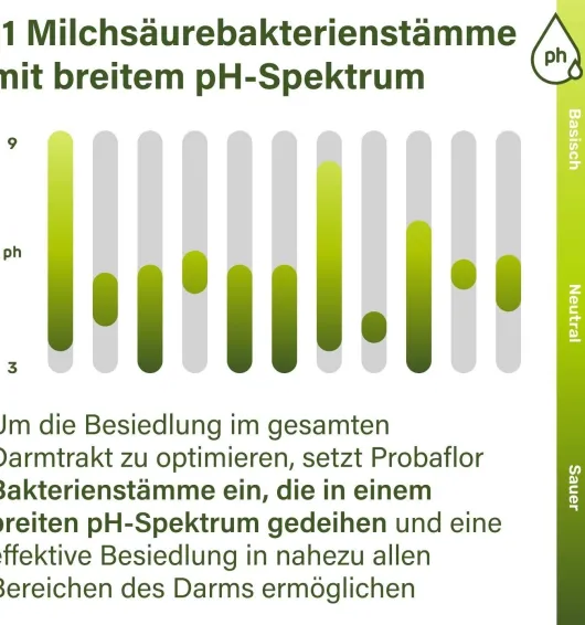 nupure probaflor Probiotika zur Darmsanierung 90 Kapseln