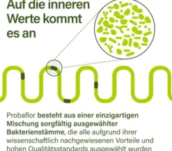 Nupure Probaflor Probiotika zur Darmsanierung 30 Kapseln