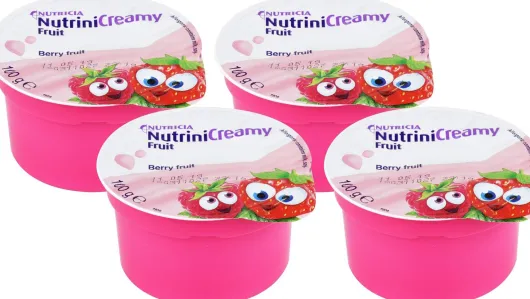 Nutrini Creamy Fruit Beerenfrüchte 48 X 100 G