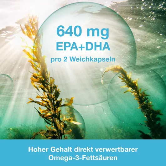 Omega3-Loges Pflanzlich 60 Kapseln