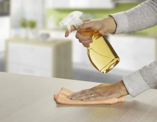 Orangenreiniger in Sprühflasche 500ml, Gebrauchsfertig