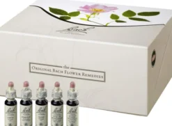 Original Bachblüten Sonderedition 40 x 10 ml in Pappbox