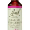 Original Bach-Blüte Star Of Betlehem Tropfen 10 ml