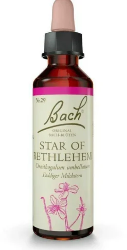 Original Bach-Blüte Star Of Betlehem Tropfen 10 ml