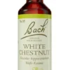 Original Bach-Blüte White Chestnut Tropfen 10 ml