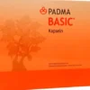 Padma Basic Kapseln