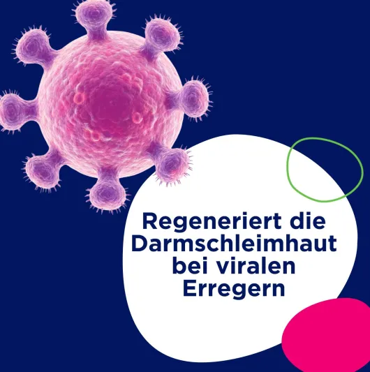 Perenterol junior 250 mg Pulver 10 Beutel