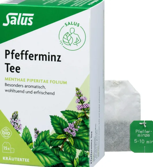 Pfefferminz Tee Bio Salus 15 Filterbeutel