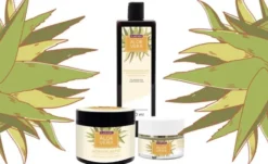 Plantana Aloe Vera Gesichtscreme Hyaluron & Vitamin E 50 ml
