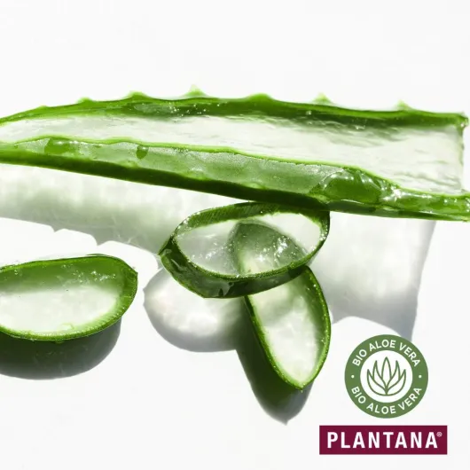 Plantana Aloe Vera Körpercreme 500 ml