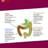 Probiocolon Gewichtsreduktion Dr.Wolz 315 G Pulver