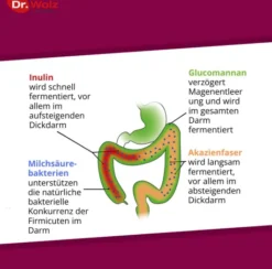 Probiocolon Gewichtsreduktion Dr.Wolz 315 G Pulver