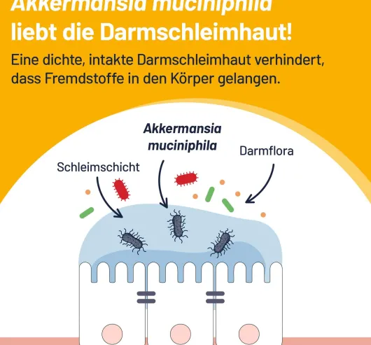 Probio-Cult AKK1 Darm-Mukosa Pro 30 Tabletten