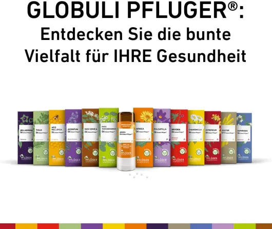 Pulsatilla D6 Globuli Pflüger Globulispender 10 g