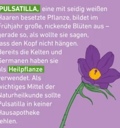 Pulsatilla D6 Globuli Pflüger Globulispender 10 g