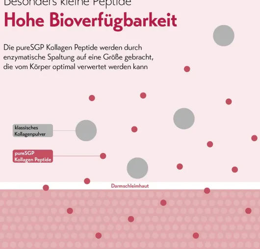 PureSGP Kollagen Peptide 300 g Pulver