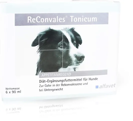 Reconvales Tonicum Für Hunde