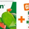 Refluthin Kautabletten Fruchtgeschmack 48 Stück + gratis 16 Kautabletten