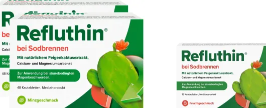 Refluthin Kautabletten Minzgeschmack 2 x 48 Stück + gratis Refluthin Kautabletten Fruchtgeschmack 16 Stück