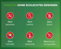 Refluthin Kautabletten Minzgeschmack 48 Stück