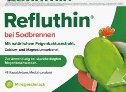 Refluthin Kautabletten Minzgeschmack 48 Stück