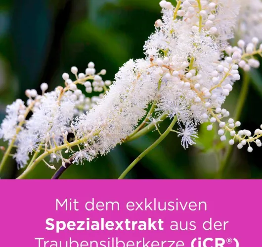 Remifemin Mono 90 Tabletten
