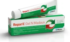 Reparil-Gel N Madaus 100 g Gel