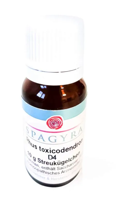 Rhus Toxicodendron D4 10 G Globuli