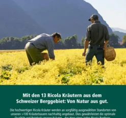 Ricola Apfelminze 75 G Bonbons