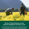 Ricola Ohne Zucker Holunderblüten 75 G Bonbons