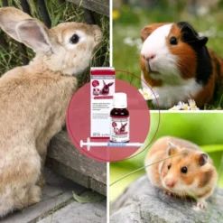 Rodicare Pulmo 20 ml Flüssigkeit für Zwergkaninchen, Meerschweinchen und Kleinnager