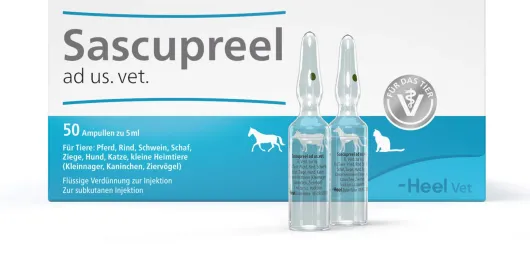 Sascupreel ad us.vet. 50 x 5 ml Ampullen