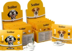 Scalibor Protectorband 65 cm Für Grosse Hunde 1 Halsband