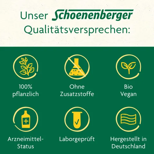 Schlankheits-Kur Möhre-Mango