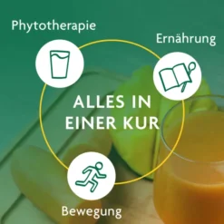 Schlankheits-Kur Möhre-Mango