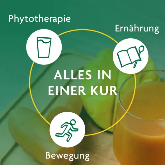 Schlankheits-Kur Möhre-Mango