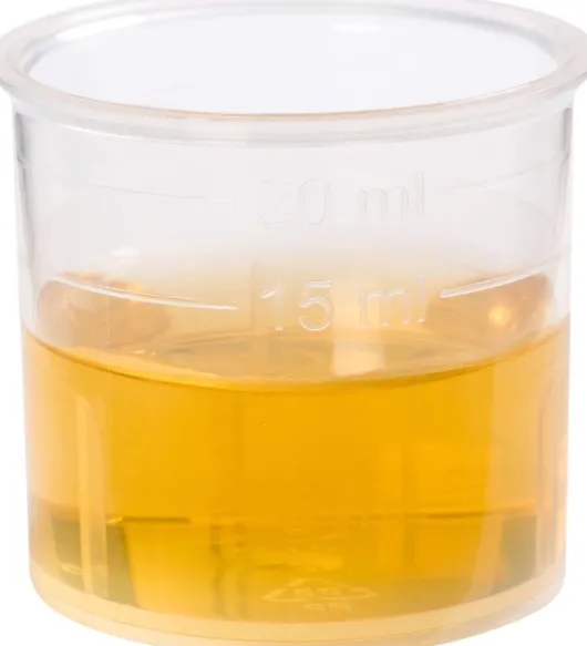 Schwarzrettich Saft Schönenberger 200 ml Saft