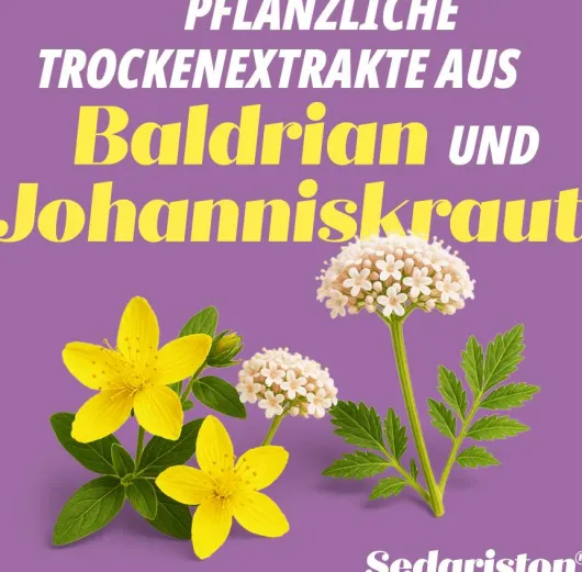 Sedariston Konzentrat 30 Kapseln