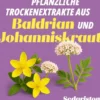 Sedariston Konzentrat 100 Kapseln