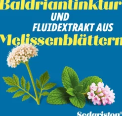 Sedariston Tropfen Für die Nacht 50 ml