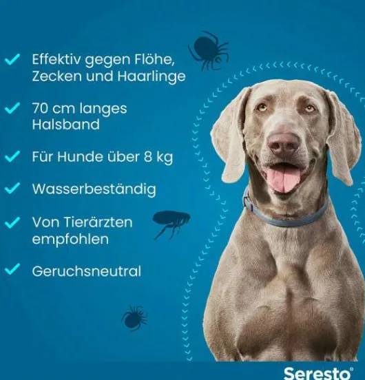 Seresto Halsband für große Hunde 1 Stück