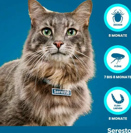 Seresto Halsband für Katzen 1 Stück