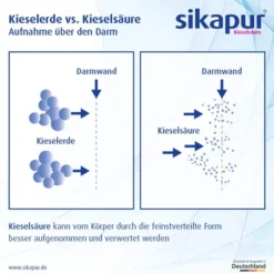 Sikapur Kieselsäure Gel-Sticks Rote Beeren 30 Stück