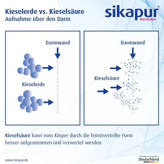 Sikapur Kieselsäure Softgel 90 Kapseln M