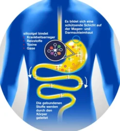 Silicolgel Gegen Magen-Darm-Erkrankungen 200ml