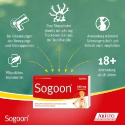 Sogoon Teufelskralle 100 Filmtabletten