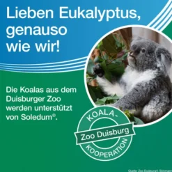 Soledum Kapseln forte 100 magensaftresistente Kapseln