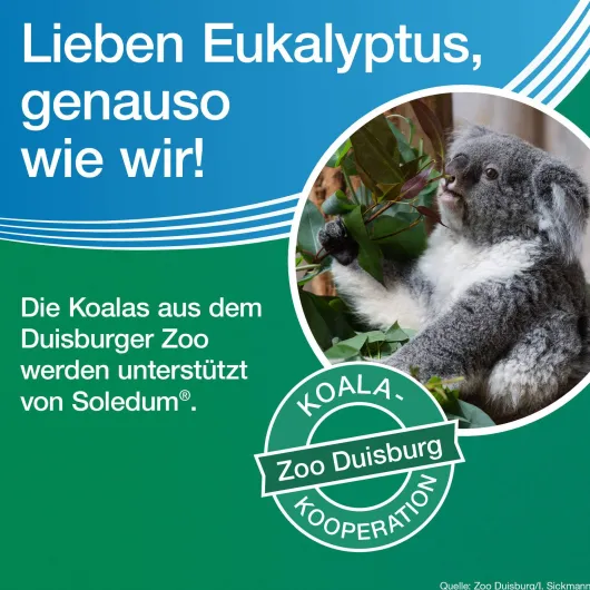 Soledum Kapseln forte 100 magensaftresistente Kapseln