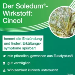 Soledum 100 magensaftresistente Kapseln