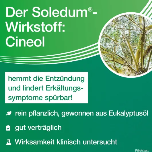 Soledum 100 magensaftresistente Kapseln